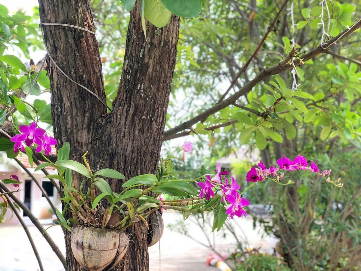 Soda Resort Kamphaeng Phet Buitenkant foto
